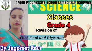 Grade 4 Science Ch 5 Food and Digestion (Revision video)