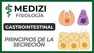 Clase 47 Fisiología Gastrointestinal - Principios básicos de la Secreción (IG:@doctor.paiva)