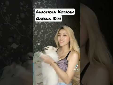 Anastasia Kosasih Goyang Sexi Pamer Body #goyangtiktok