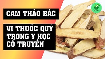Cam Thảo Bắc - Vị thuốc quý trong y học cổ truyền nhưng rất ít người biết tác dụng của nó