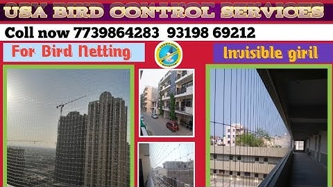 Anti Bird Net Installation | Balcony Safety Net Installation and Price|Anti Bird Netting Jaal Kaise