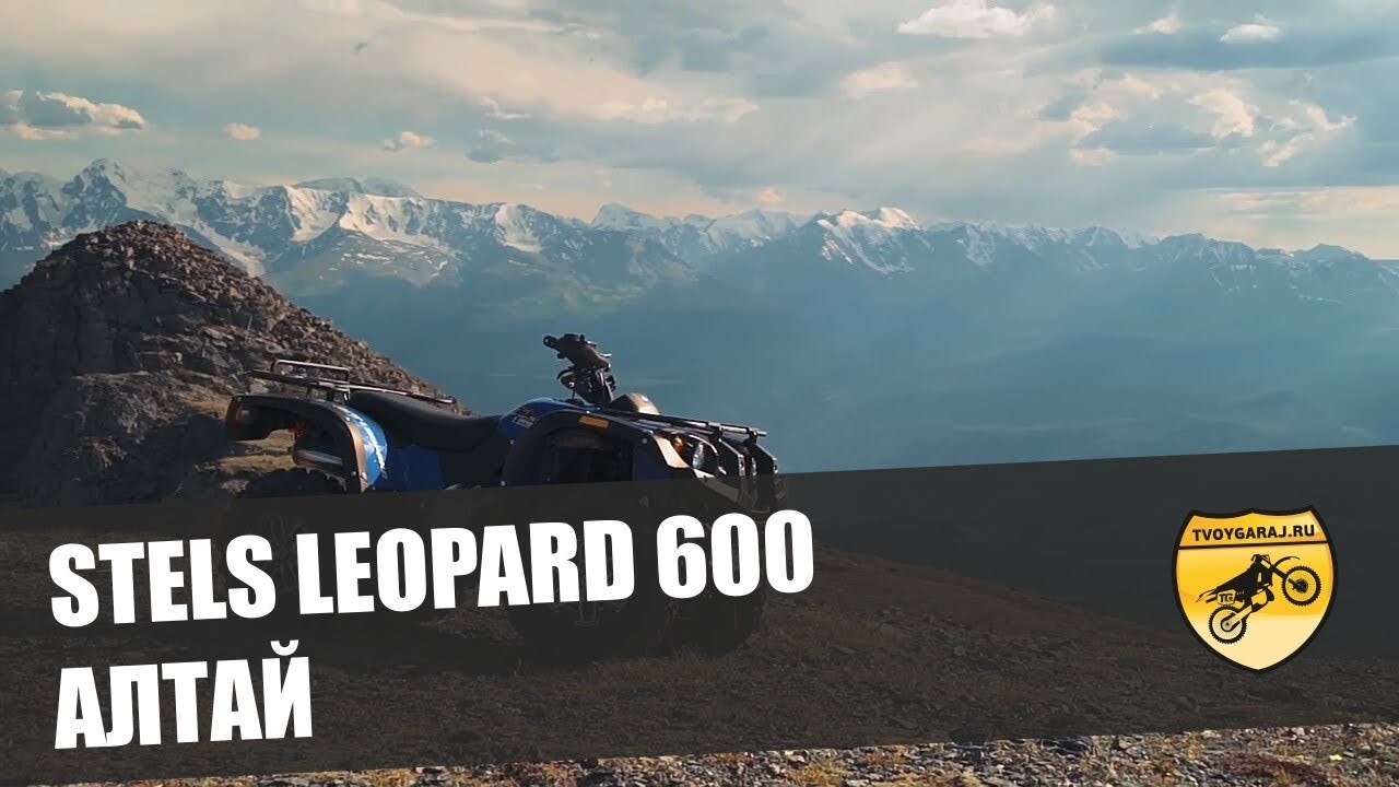 Генератор стелс леопард