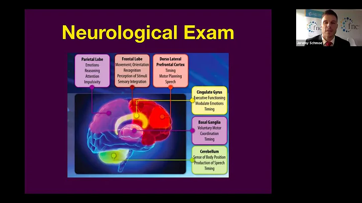 L'importance de l'examen neurologique dans l'évaluation des troubles du cerveau