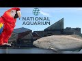 National Aquarium (Baltimore) 2021 Tour & Review with The Legend