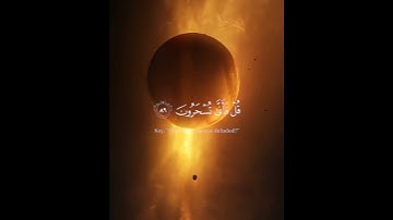 سورة المؤمنين #فلسطين #um_bam #قران_كريم #قرآن