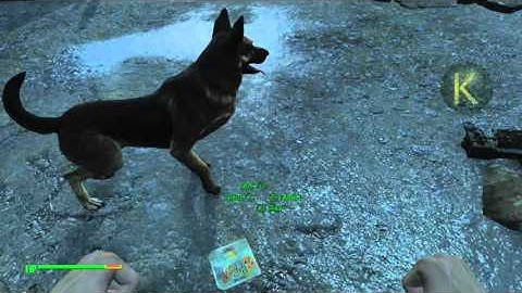 Fallout 4 - Duplicate Anything - Max Perk - Glitch (XBoxOne/PS4)