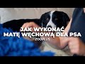 DIY: mata węchowa dla psiaka [PORADNIK]