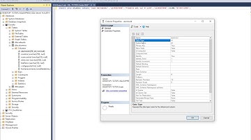 U2-v1.- Lenguaje de manipulación de datos, Insert