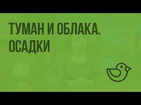 Туман и облака. Осадки. Видеоурок по окружающему миру 3  класс