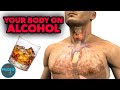 Top 10 Terrible Things Alcohol Does to Your Body