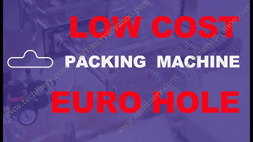 Low cost chips packing machine | pillow type bag with euro hole punch feature
