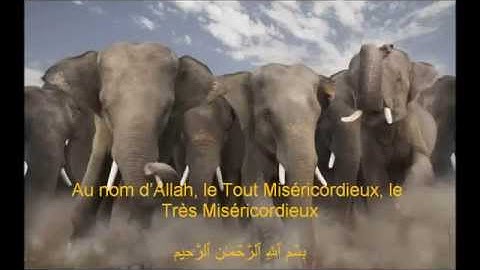 105. Sourate Al-Fil [ L'éléphant ] سورة الفيل