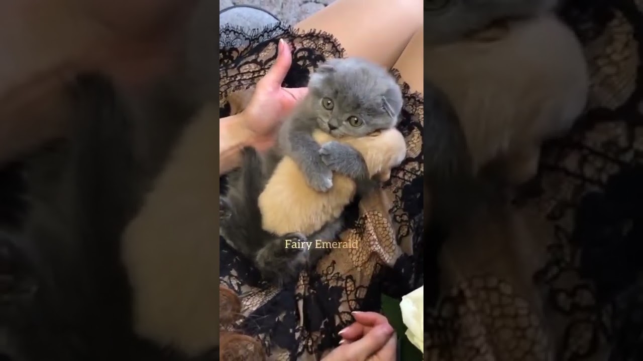 the cute moment 😍