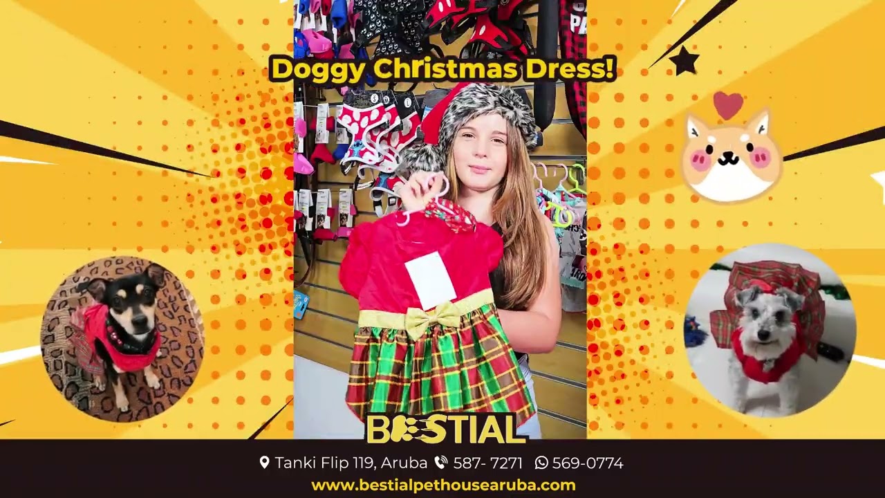 Christmas Outfits for Your Pets in Aruba