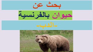 بحث عن حيوان بالفرنسية الدب