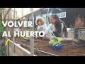 Volver al Huerto | Cultivamos lo que vamos a comer en Invierno #Hojas #Zanahorias y #Puerros