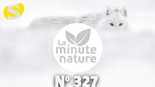 AVEC VINCENT MUNIER (No 327)