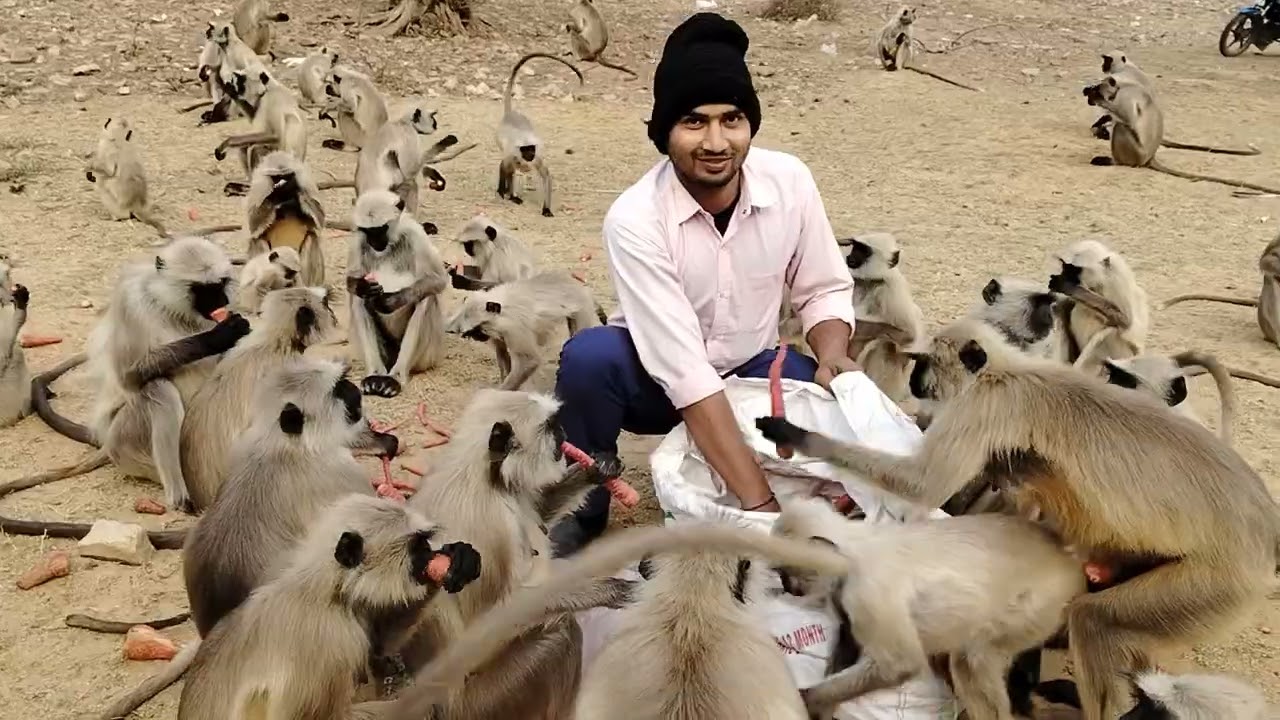 नई साल की शुरुआत , नई सोच के साथ , जय श्री राम , 2026।  ईमानदारी सच्चाई सेवा