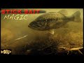 How to Fish Soft Stick Baits for Shallow Bass