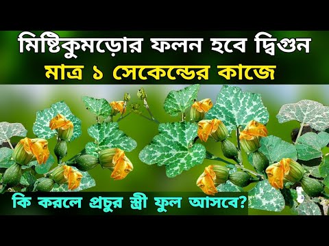 ভিডিও: দ্রুত মিষ্টি