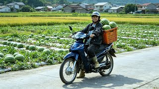 Ha's simple happiness: Harvesting watermelons on her first motorbike