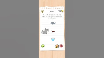 Brain test  level 11, The cat wants some fish and then a chicken. With some water in-between.