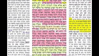 דף יומי מסכת כתובות דף טו Daf yomi Ketubot daf 15 Shmuel Navon