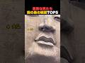 世界中でバズった蜂の巣の瞬間TOP5！