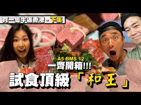 開箱試食極級 BMS 12黑毛和牛｜香港人都可以試到｜買一隻牛返香港！（下集）｜大島與龍威