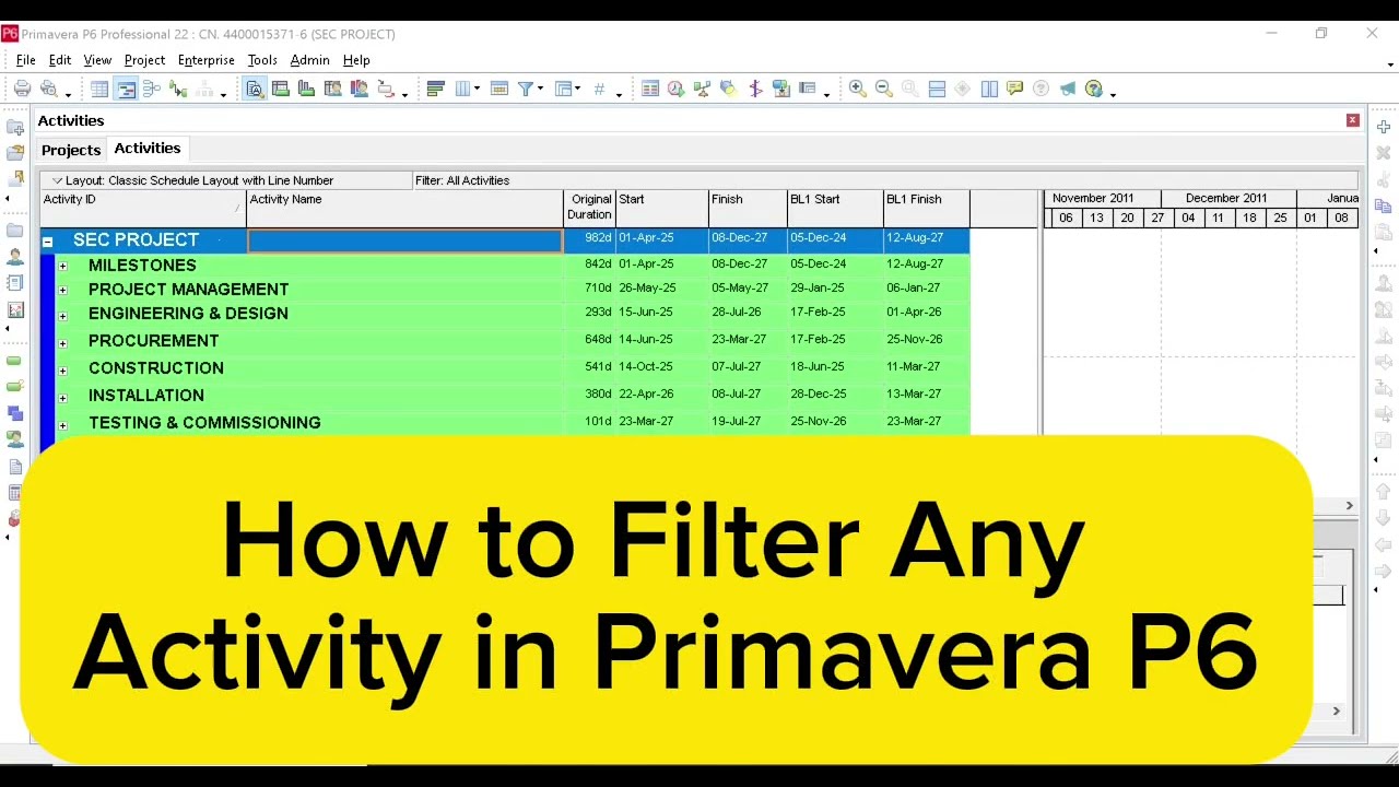 How to Filter Any Activity in Primavera P6 l OHTL Schedule l 
