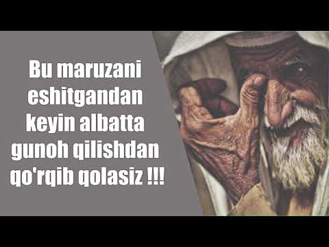 Video: Qohiraga Qaytish