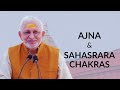 Chakras  ajna  sahasrara chakras  sri m  ujjain 2023