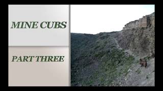 Mine Cubs part three by andrew edwards 1,700 views 3 years ago 3 minutes, 2 seconds