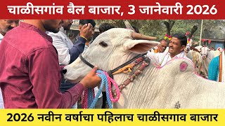 🛑Live चाळीसगांव बैल बाजार 😍 3 जानेवारी 2026 | अनवर शेठ यांची दावन 😂 Chalisgaon bail bazar 🥰 #बैलगाडा