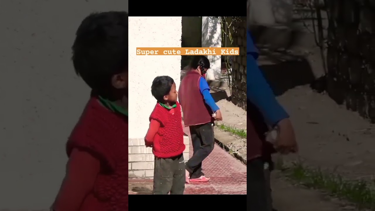 Met these super cute Ladakh kids near my homestay 