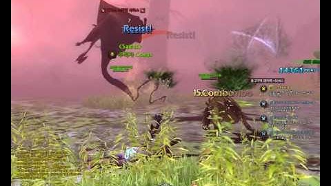 Dragon Nest -  Force User