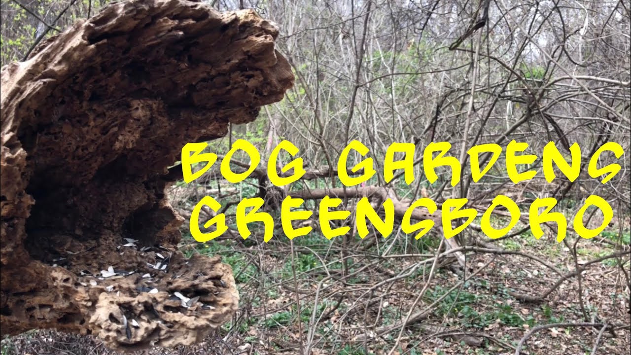 Bog Gardens Greensboro 2018 Vlog02 Youtube