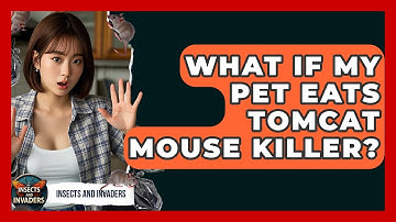 What If My Pet Eats Tomcat Mouse Killer? - Insects and Invaders