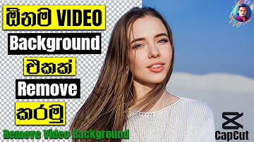 How To Remove Video Background | Top Video Background Remover Tools 2024 | Sinhala