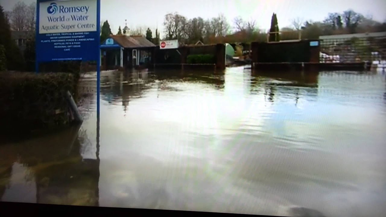 Floods Romsey World of Water 2014 0 One of the UK's leading aquatic