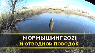 Мормышинг 2021, Ловля на мормышку 2021 и на отводной поводок - сорожка и красноперка Ультралайт 2021