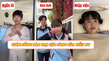 Cuộc Sống Báo Hại Cực Căng Của Tiểu My (PHẦN 5) | Mỗi Ngày Một Hài #shorts