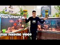 My Monster Fish Collection Update 2026 | Frontosa, Oscar, Datnoid, Vieja | Promeal's Worms