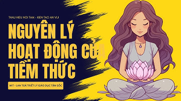 WIT - NGUYÊN LÝ HOẠT ĐỘNG CỦA TIỀM THỨC| THẤU HIỂU NỘI TÂM - KIẾN TẠO AN VUI
