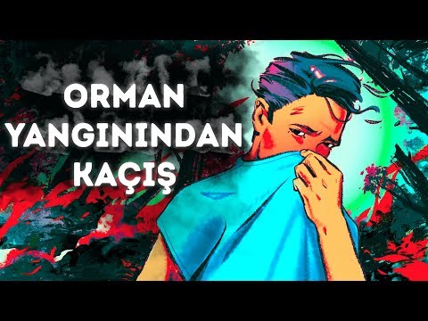 Video: Orman Yangını Nasıl önlenir