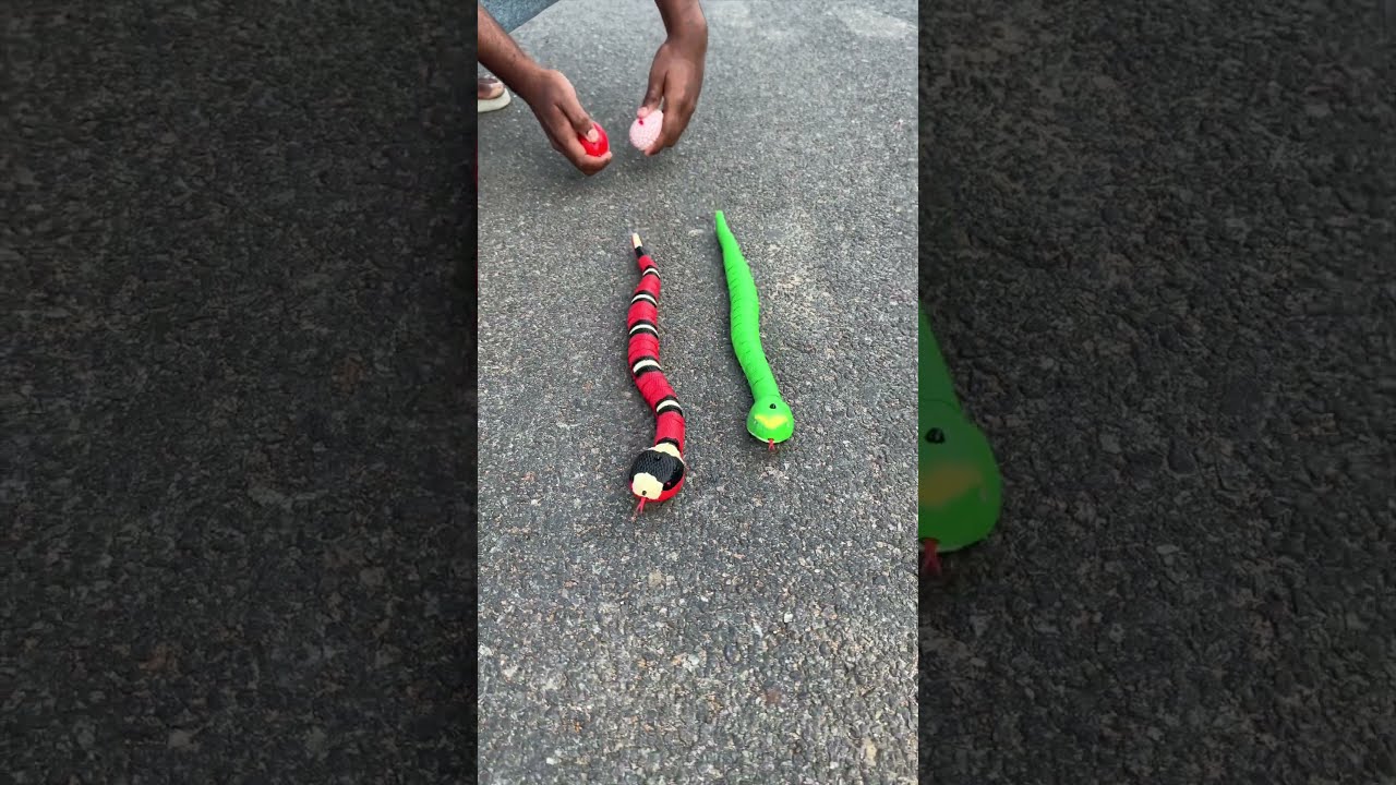 Amar New Remote Control Snake Shorts Toys
