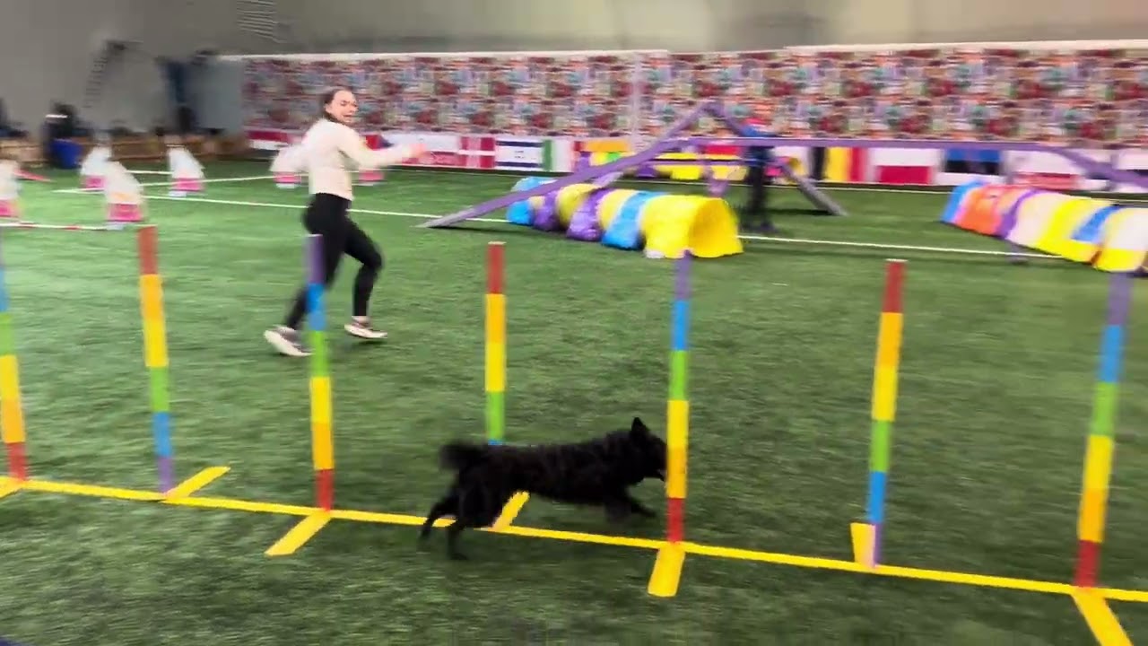 Polish Open 2026 - Eip, Hayami , Enzo 