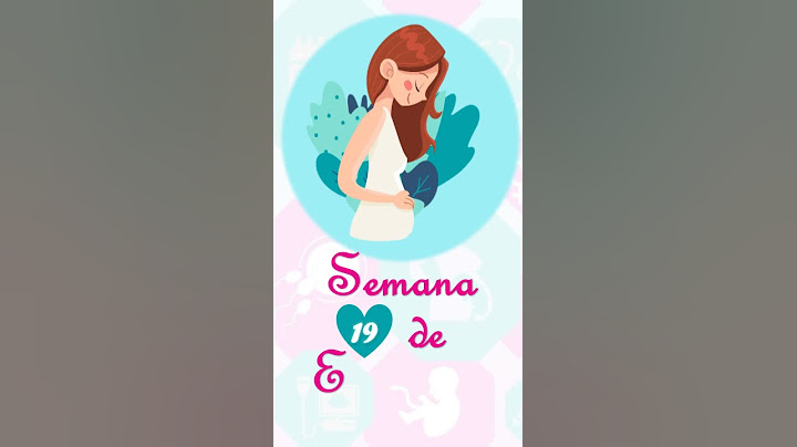 👉 Semana 19 de Embarazo. 📏 Tamaño y Peso de tu Bebé.