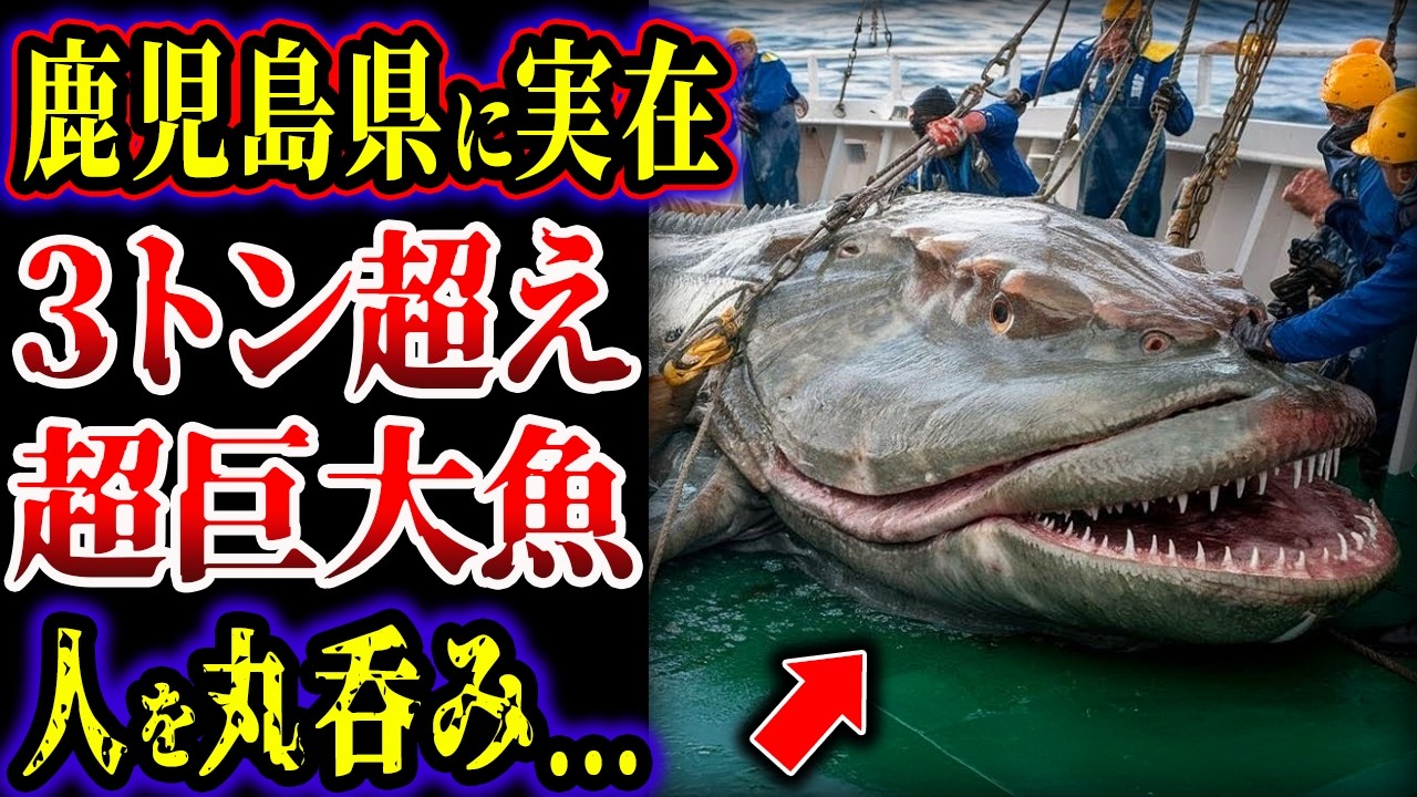 【ゆっくり解説】鹿児島県に実在する3トン超えの超巨大魚...人を簡単に丸吞み...日本に実在するヤバい怪魚5選【巨大生物】