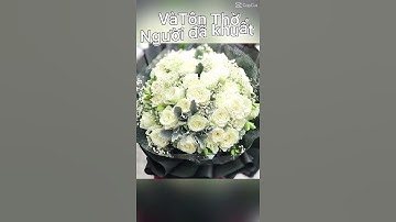 Hoa Hồng Trắng có rất nhiều ý nghĩa